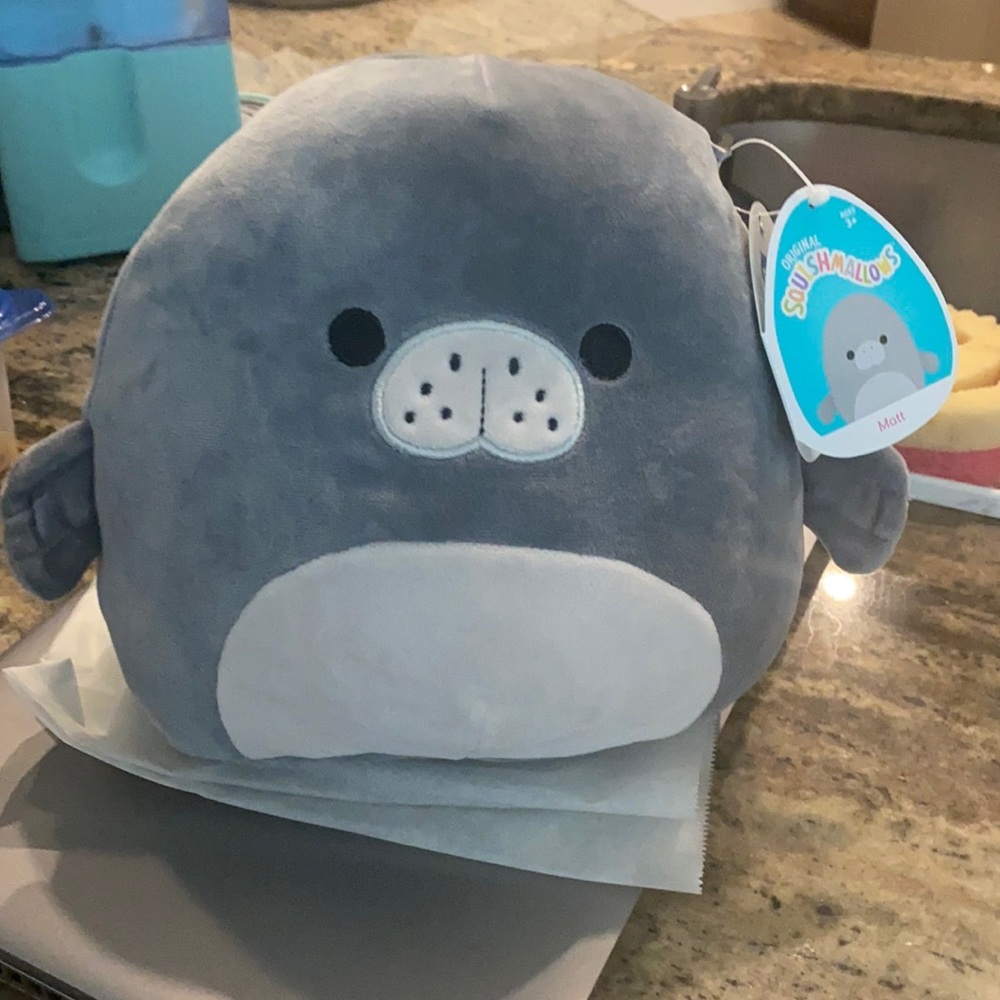 Squishmallow Matt